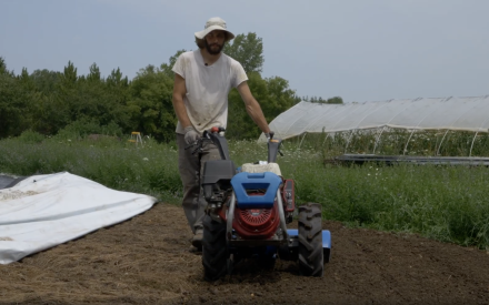 Man operating a tractor-weeder in a diversified vegetable plot