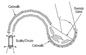Diagram of cattle handling system with catwalk, scale chute, and sweep gate.