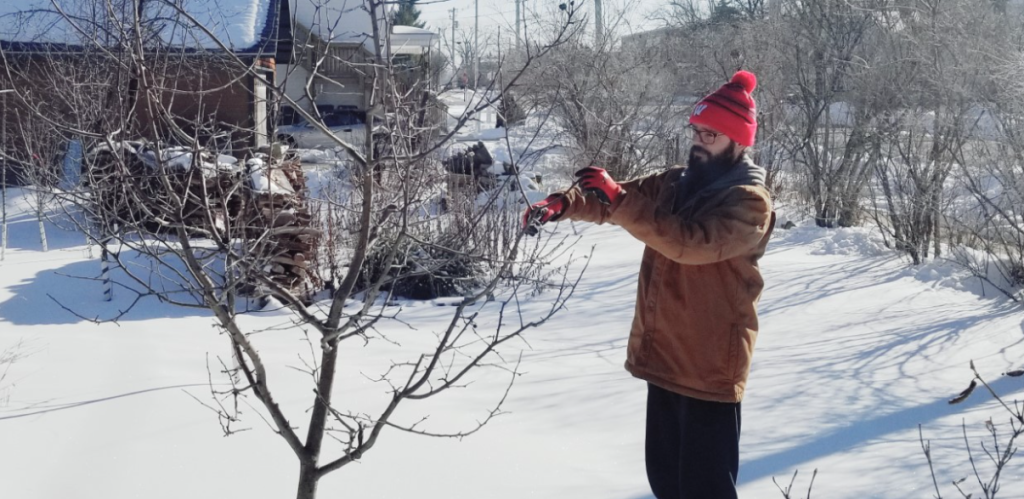 Apple and grape pruning workshops scheduled across Wisconsin in February and March