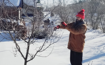 Apple and grape pruning workshops scheduled across Wisconsin in February and March