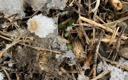 February 2026 Weather Outlook