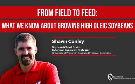 Shawn Conley presents "From Field to Feed: What We Know About Growing High Oleic Soybeans" for UW-Madison Extension.