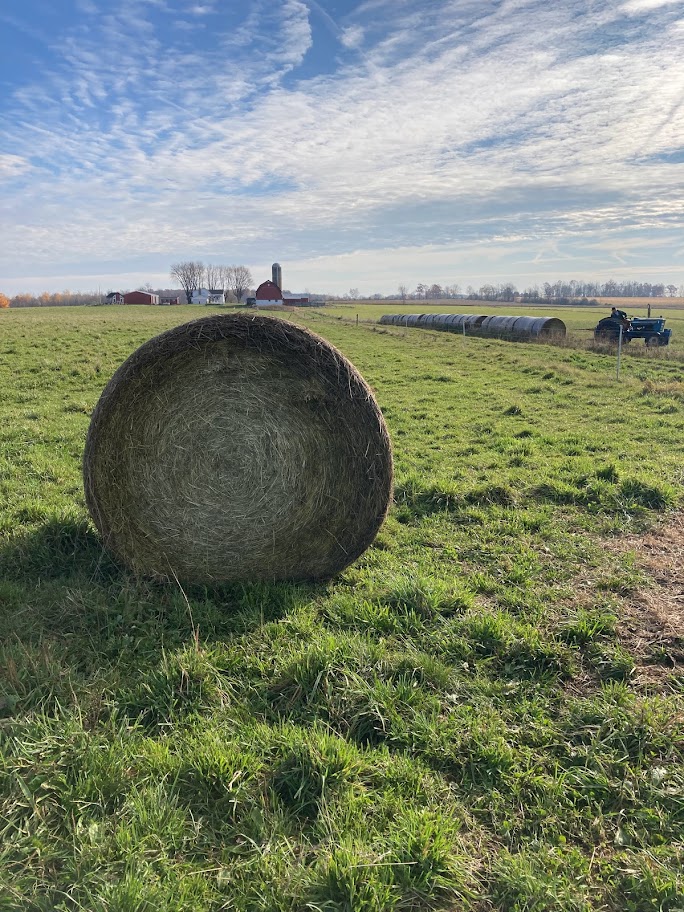 Hay bale in open field