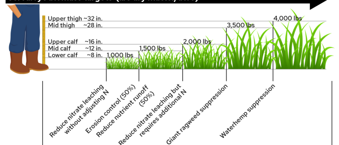Biomass Thresholds for Cereal Rye Cover Crop Goals
