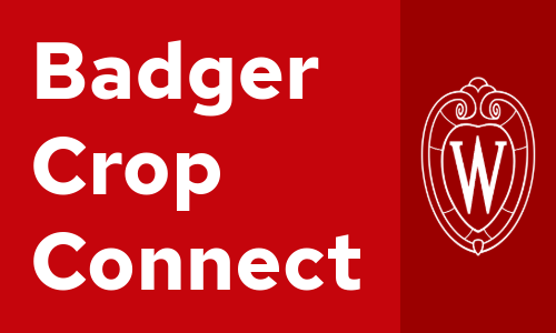Go to Badger Crop Connect webpage