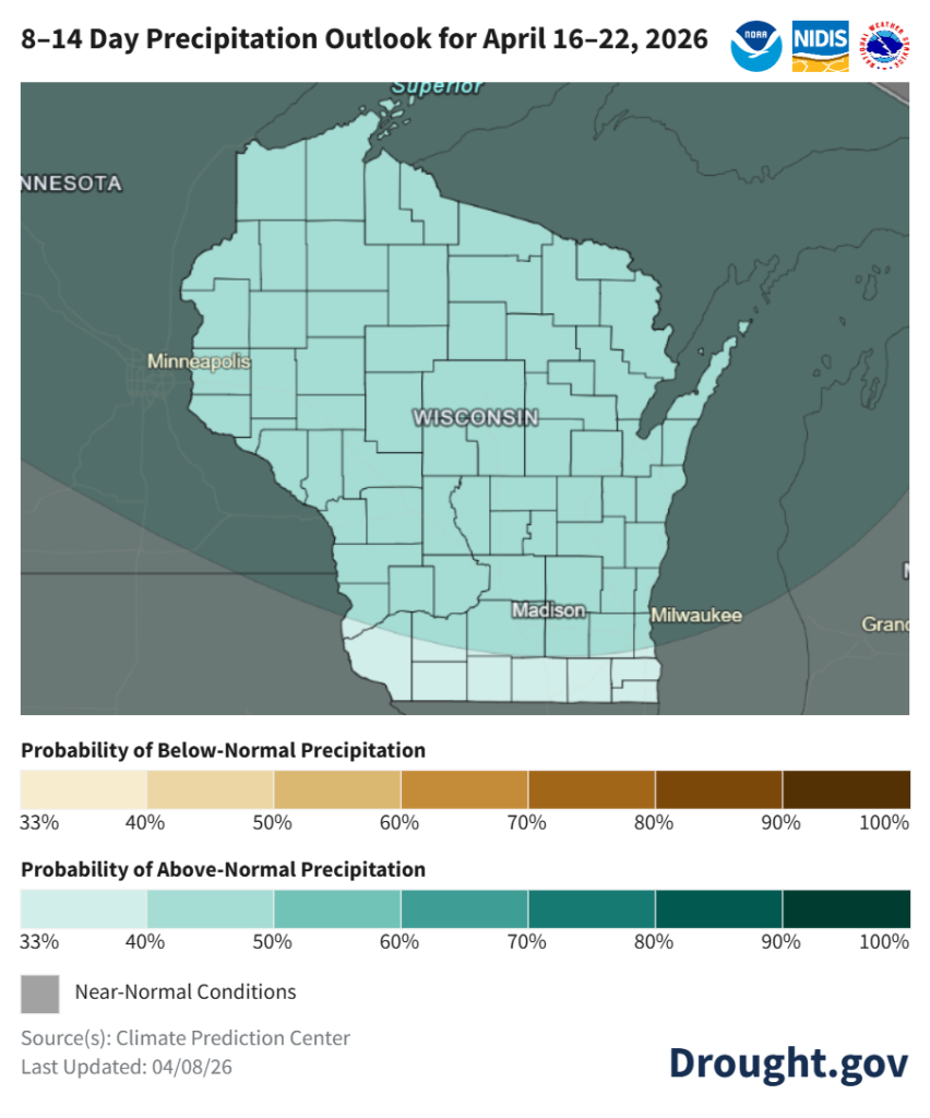 NOAA 8–14 day precipitation outlook for Wisconsin, April 16–22, 2026, showing above-normal precipitation probability statewide. Image description below.