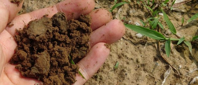 Positive Associations of Soil Organic Matter and Crop Yields Across a Regional Network of Working Farms