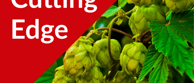 Field Notes: Hops, May 2026
