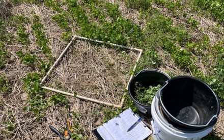 Wisconsin Continues Investment into Nitrogen Optimization