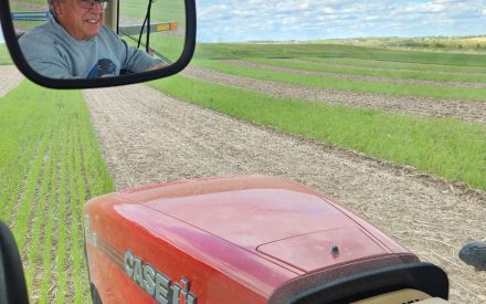 Custom Nitrogen Research Protocols