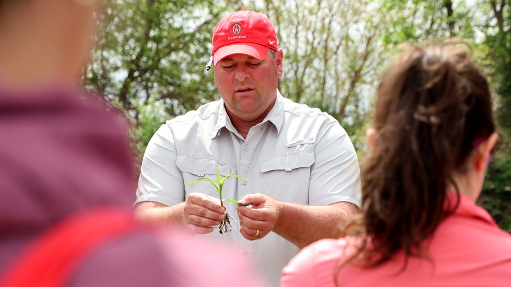 Extension crops educator Josh Kamps shows participants how to stage seedling growth, holding a small corn plant with exposed roots during a field training.