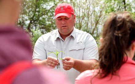 From Classroom to Field: Inside Extension’s Foundational Crop Scouting Training