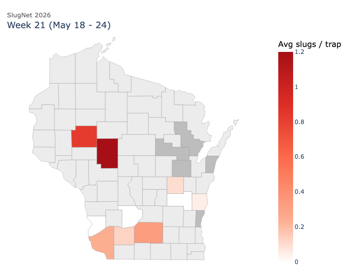 SlugNet 2026 WI map for avg slugs per trap. Highs of 1.2 in Wood and 0.8 in Clark counties; most of the state shows low or zero activity.