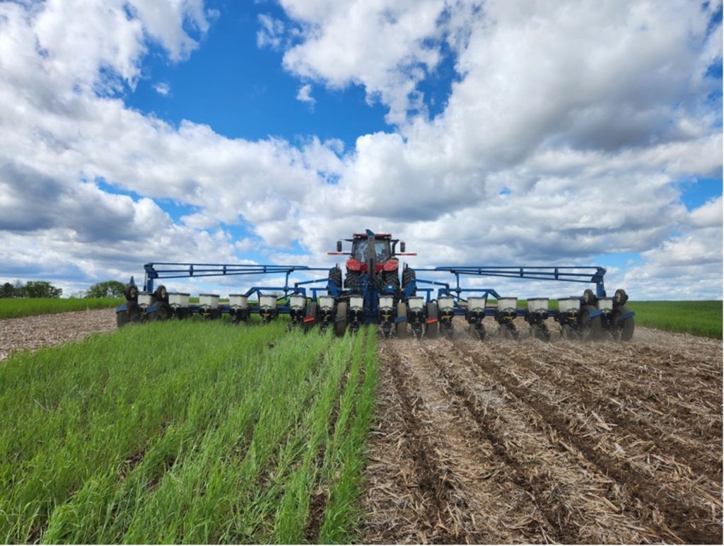 A red tractor pulls a large blue planter through a field, straddling a green cover crop on the left and old crop residue on the right.