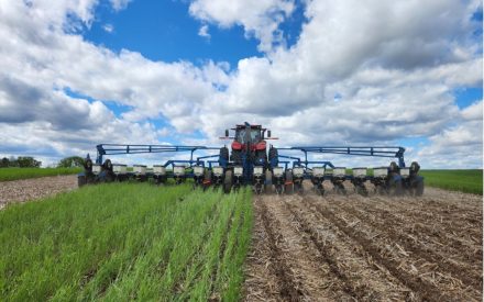 Planting Season Underway for NOPP Trials