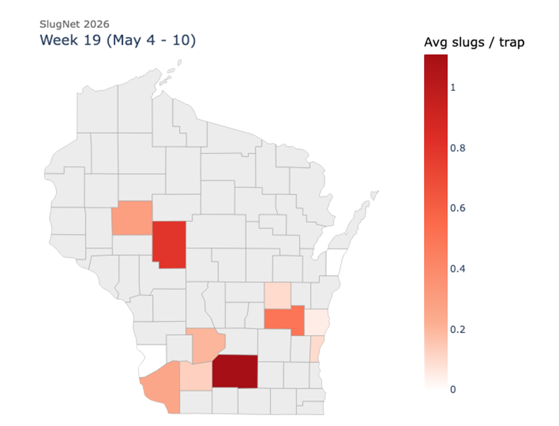 Wisconsin county map for SlugNet Week 19 (May 4–10, 2026) showing average slugs per trap, with higher counts in central and southern counties.