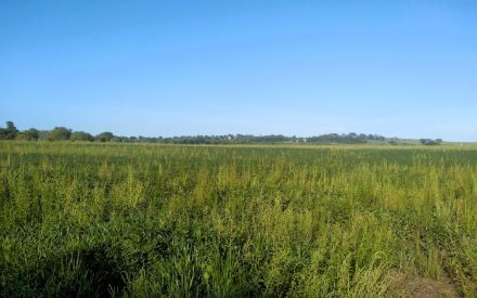 ESA Pesticide Label Changes – What You Need to Know for the 2026 Growing Season