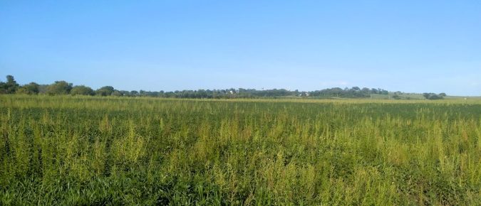 ESA Pesticide Label Changes – What You Need to Know for the 2026 Growing Season
