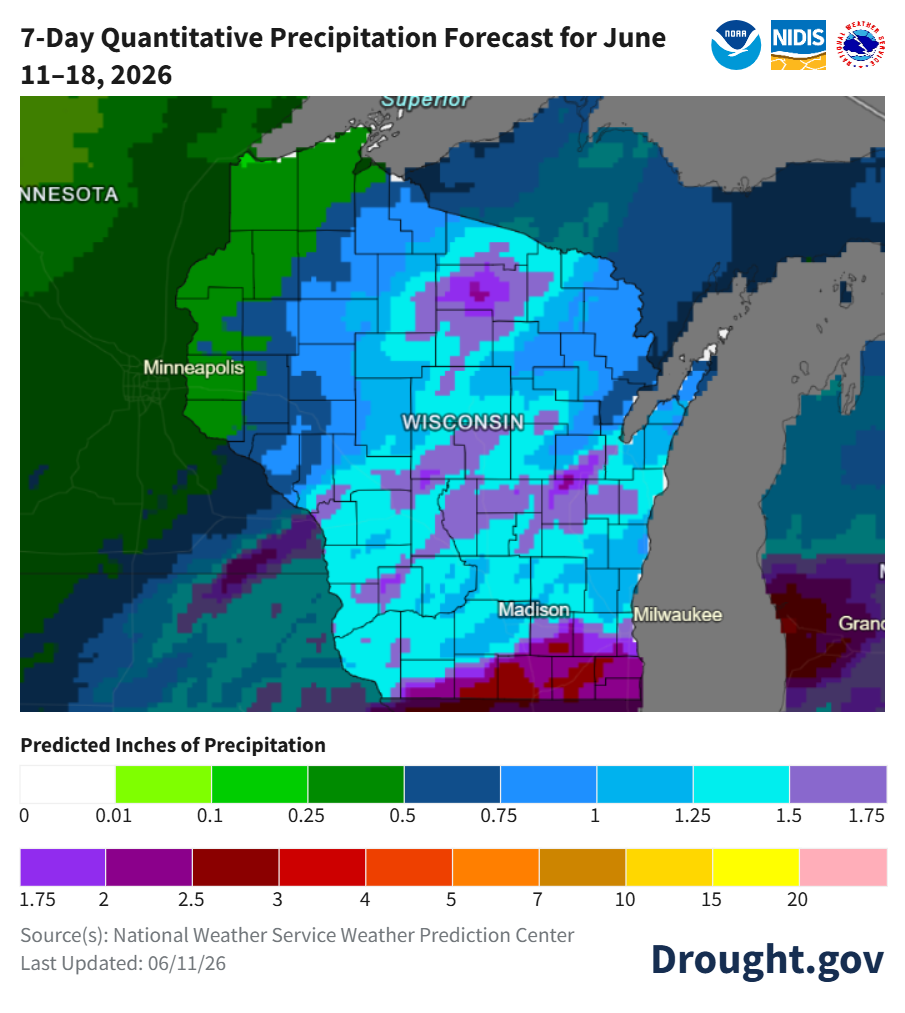 Map of 7-day precipitation forecast for Wisconsin, June 11–18, 2026, showing 1–1.75+ inches across most of the state. Image description below.