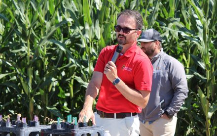 2026 Wisconsin Extension Weed Management Workshop on Sept. 2 in Arlington