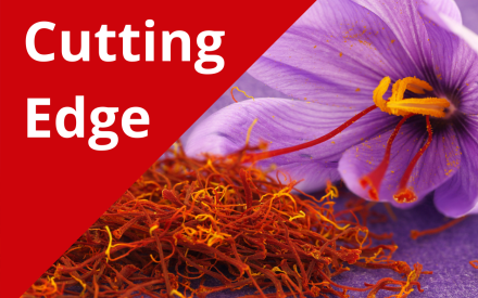 The Cutting Edge Podcast Episode #56: Saffron Production and Marketing
