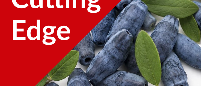 Field Notes: Honeyberry Bird Netting, May 29