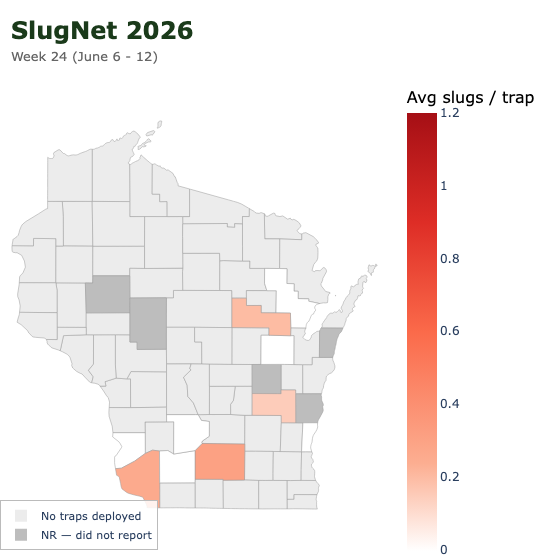 Wisconsin county map for June 6–12 showing average slugs per trap, with highest counts in south-central counties.