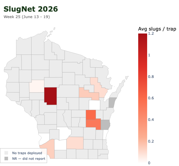 Wisconsin county map for SlugNet 2026 Week 24 (June 13–19) showing average slugs per trap, with highest counts in Clark County.