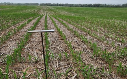 ▶ Wisconsin Soil Test Results Summary