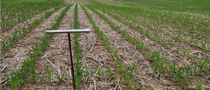 ▶ Wisconsin Soil Test Results Summary