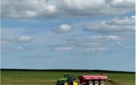 When Is the Best Time to Sample Manure? Research Proven Answers for Farmers