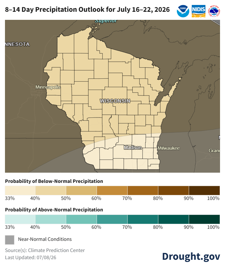 NOAA map: 8–14 day precipitation outlook for Wisconsin, July 16–22, 2026. Most of state shows 33–40% probability of below-normal precipitation. Image description below.
