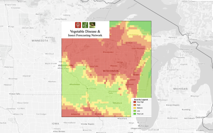 Vegetable Pest & Disease Forecasting with the VDIFN Tool: User Tutorial