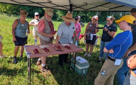 2026 Wisconsin Apple Growers Association Field Day Recap