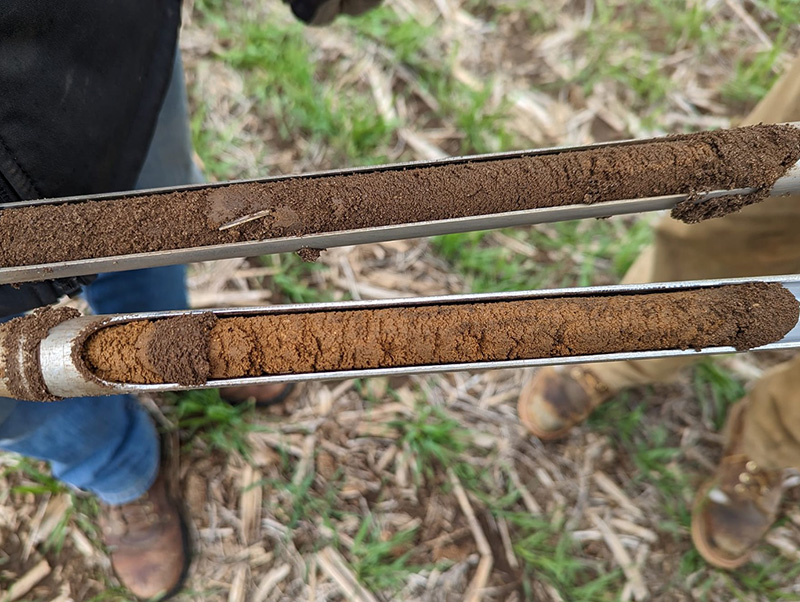 Close-up of two soil core samples in sampling probes showing varying shades of layered soil collected from two crop fields.