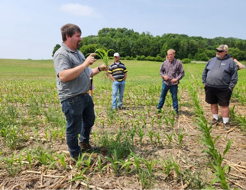 Person holds a young corn plant while speaking to a small group in a field with emerging corn and crop residue.