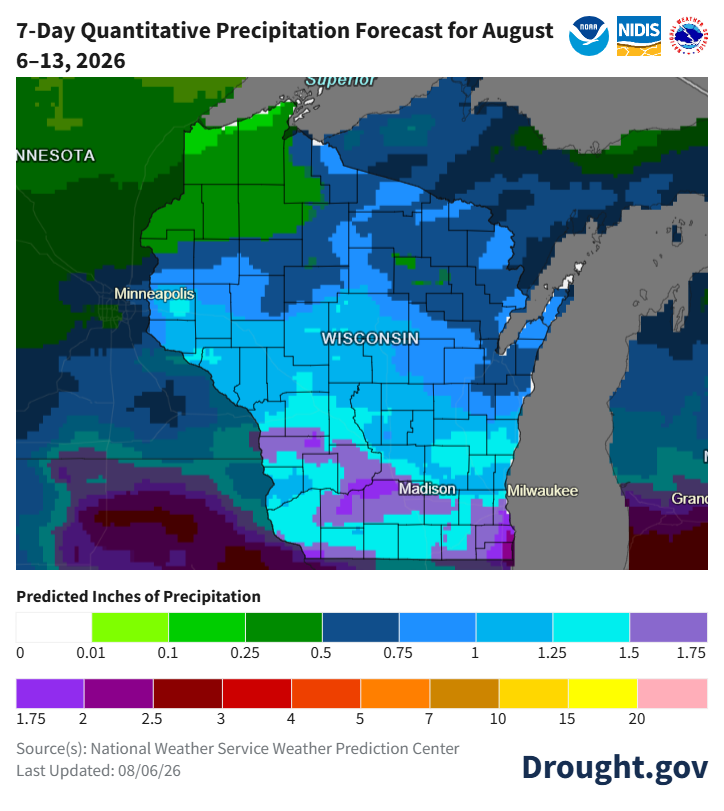7-day quantitative precipitation forecast for Wisconsin, August 6–13, 2026. Image description below. 