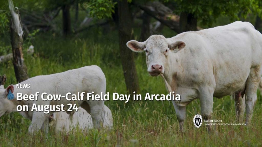 Beef Cow-Calf Field Day in Arcadia on August 24