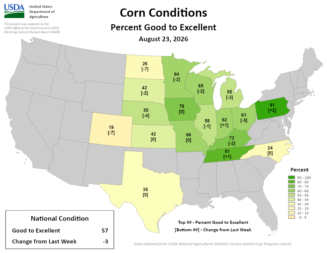 USDA map showing US Corn Conditions percent good to excellent as of August 23, 2026, with a national average of 57 percent.