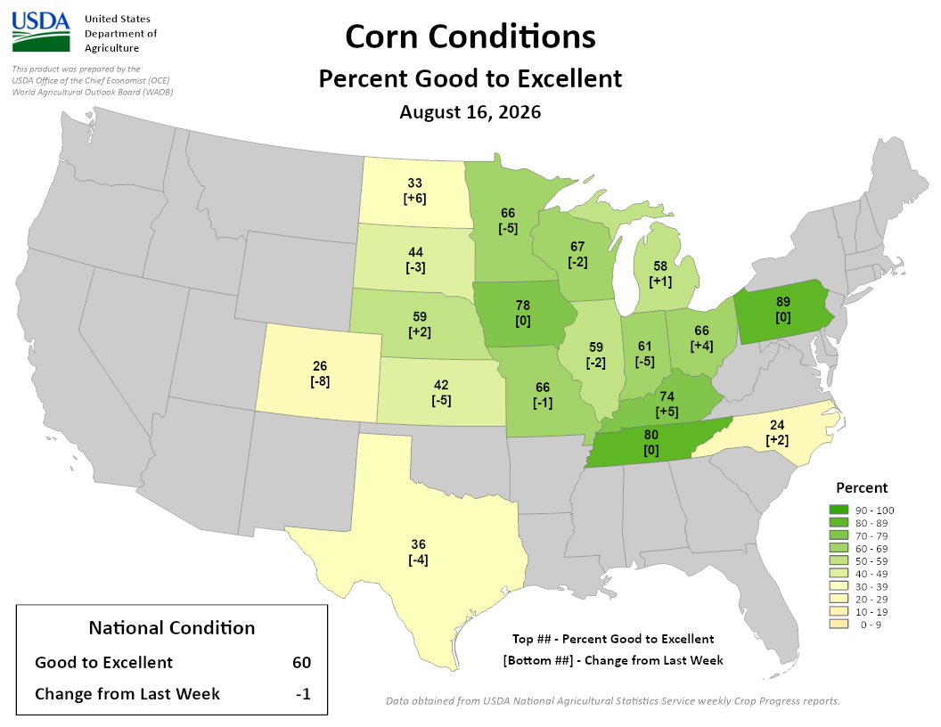 USDA map showing corn conditions as percent good to excellent as of August 16, 2026. National average is 60%. 