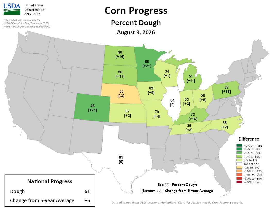  Map showing USDA US corn progress percentage in dough stage and change from 5-year average on Aug 9, 2026. 