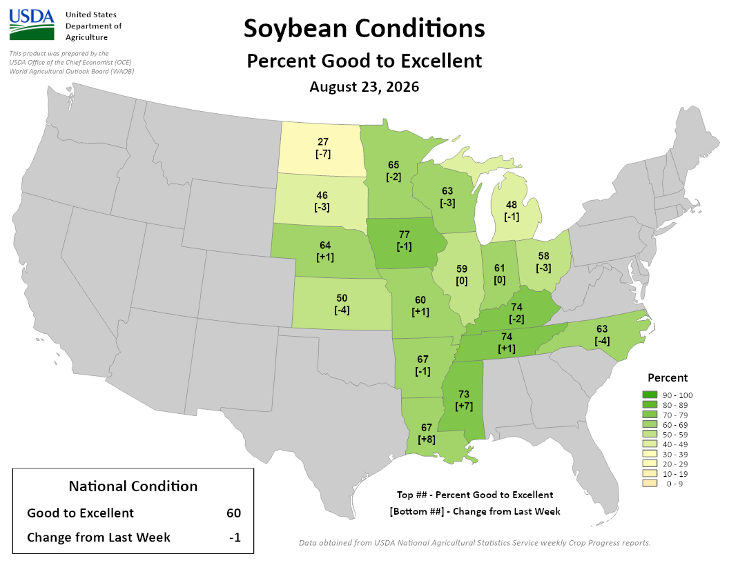USDA map showing US Soybean Conditions percent good to excellent as of August 23, 2026, with a national average of 60 percent.