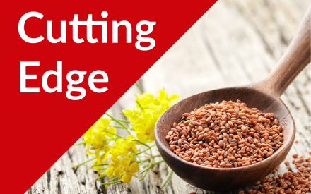 The Cutting Edge Podcast Episode #57: Winter Camelina Market and Research Updates