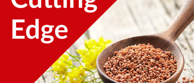 The Cutting Edge Podcast Episode #57: Winter Camelina Market and Research Updates