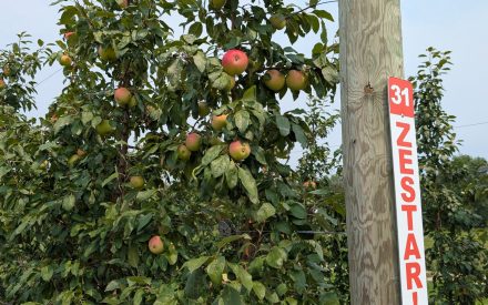 Notes from the Field: A Grower’s Perspective – Erin Warner #7