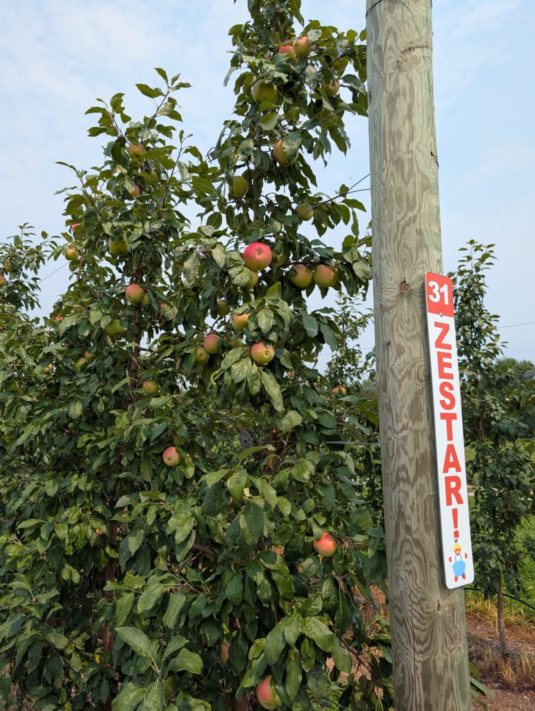 Notes from the Field: A Grower’s Perspective – Erin Warner #7