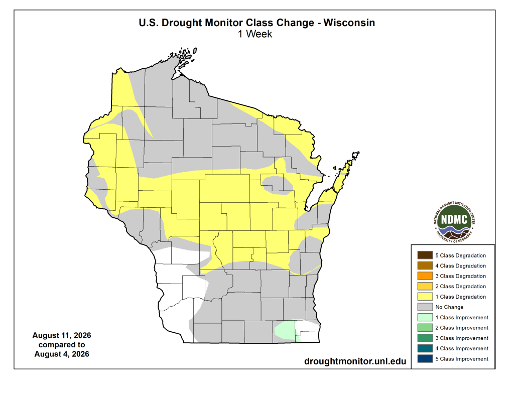 Map of 1-week drought monitor class change for Wisconsin from Aug 4 to Aug 11, 2026.