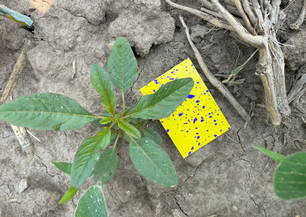 Herbicide Fate Workshop – October 1 in Madison