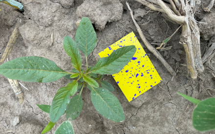 Herbicide Fate Workshop – October 1 in Madison