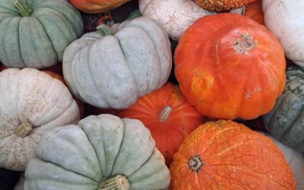 October 2nd, 2026 Weather Outlook